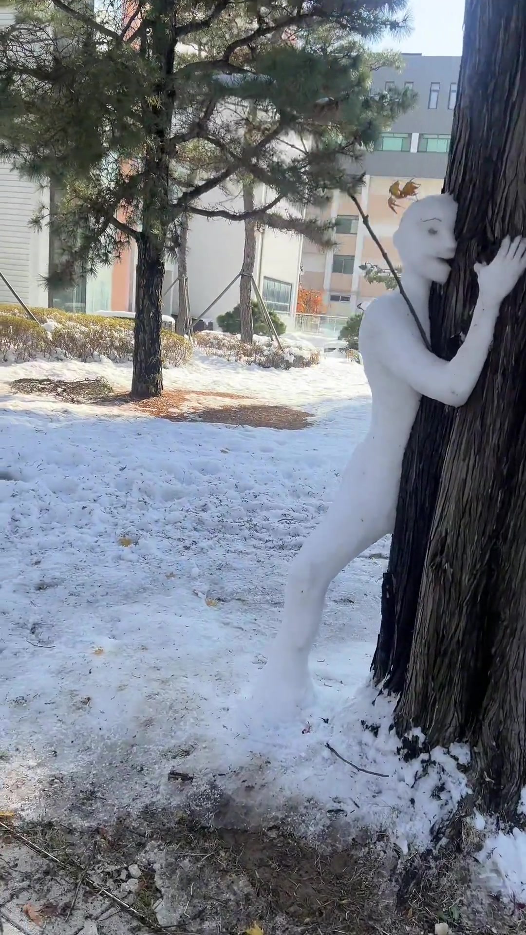 哈哈哈哈哈偷窥的雪人