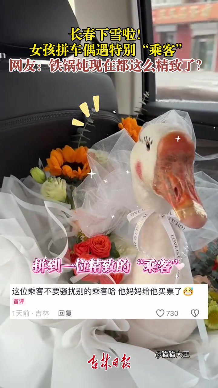 长春下雪啦！女孩拼车偶遇特别乘客网友：铁锅炖现在都这么精致了
