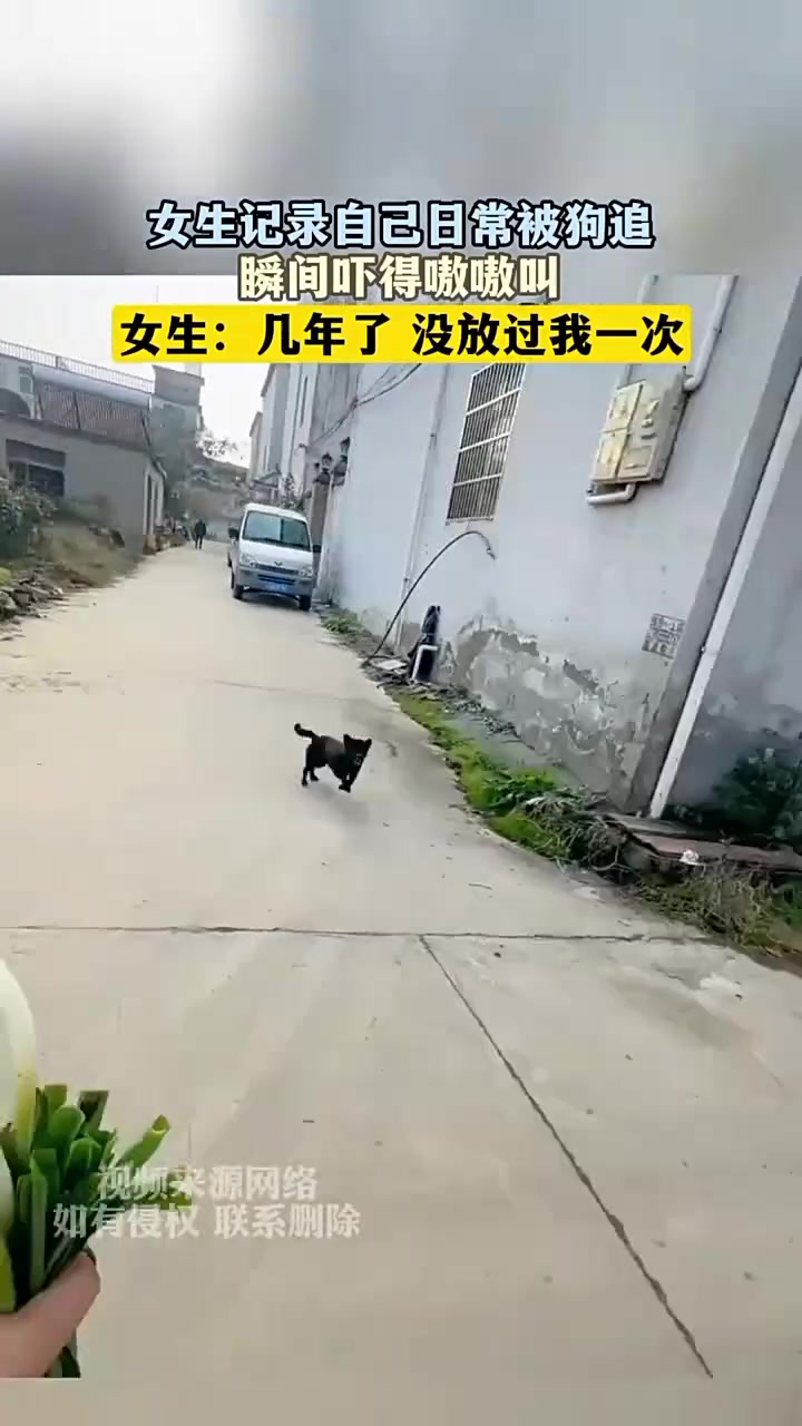 女生记录自己日常被狗追