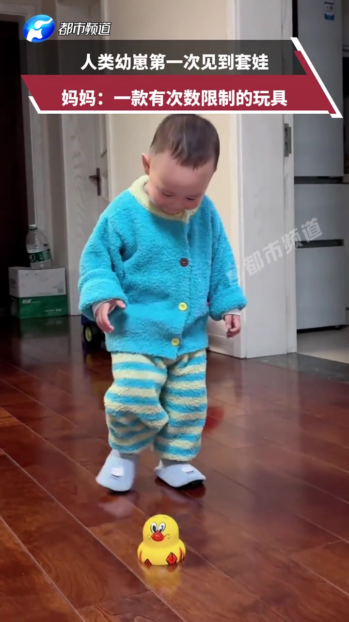 人类幼崽第一次见到套娃，妈妈：一款有次数限制的玩具