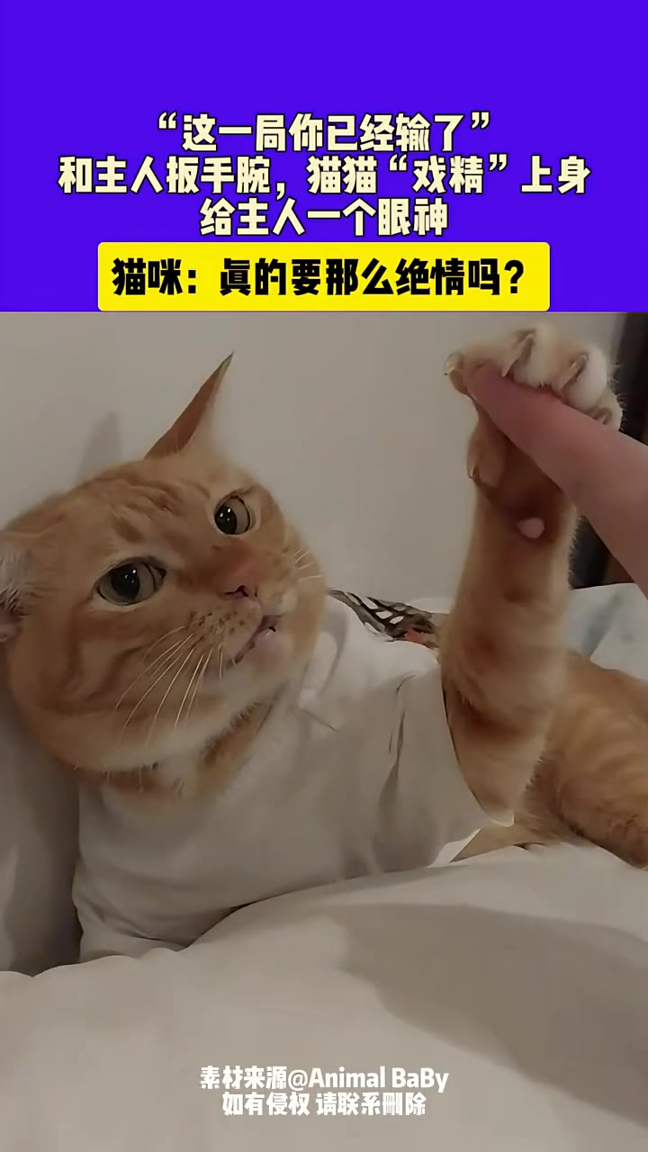 这一局你已经输了”和主人掰手腕