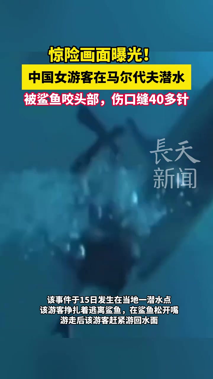 女游客在马尔代夫潜水被鲨鱼咬头部，伤口缝40多针