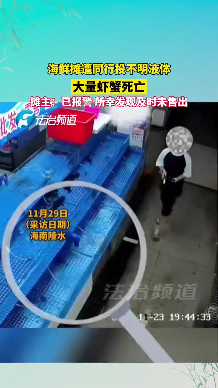 海鲜摊遭同行投不明液体大量虾蟹死亡！