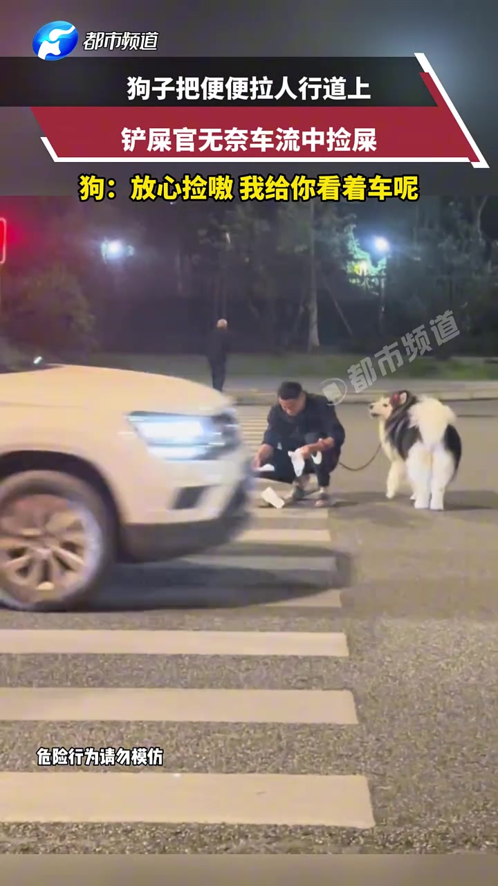 狗子把便便拉人行道上，铲屎官无奈车流中捡屎，狗：放心捡嗷