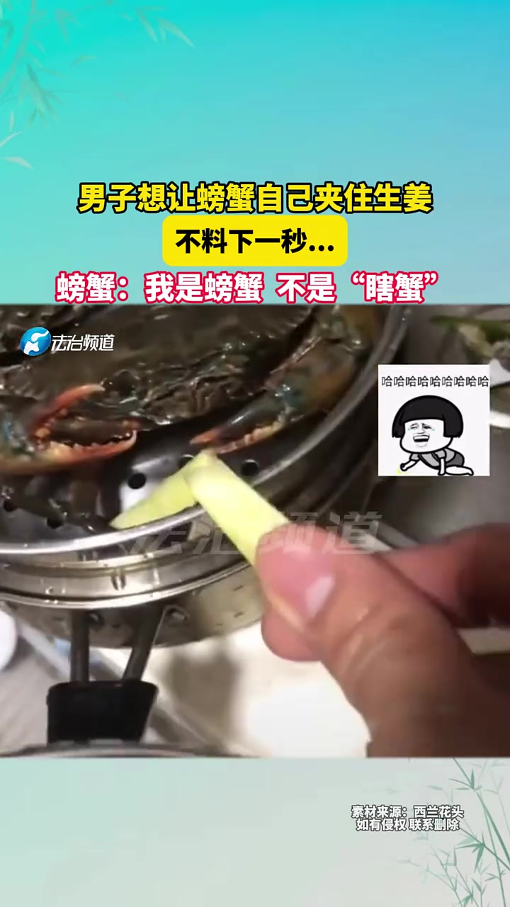 男子想让螃蟹自己夹住生姜，不料下一秒...