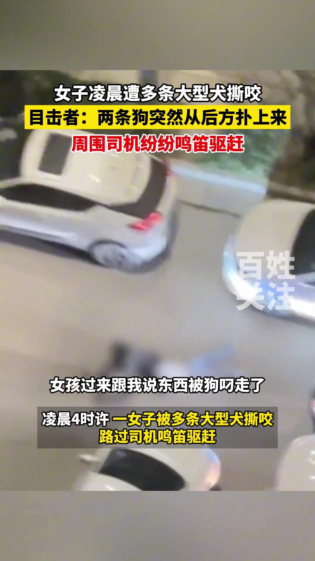 女子凌晨遭多条大型犬撕咬目击者：周围司机纷纷鸣笛驱赶