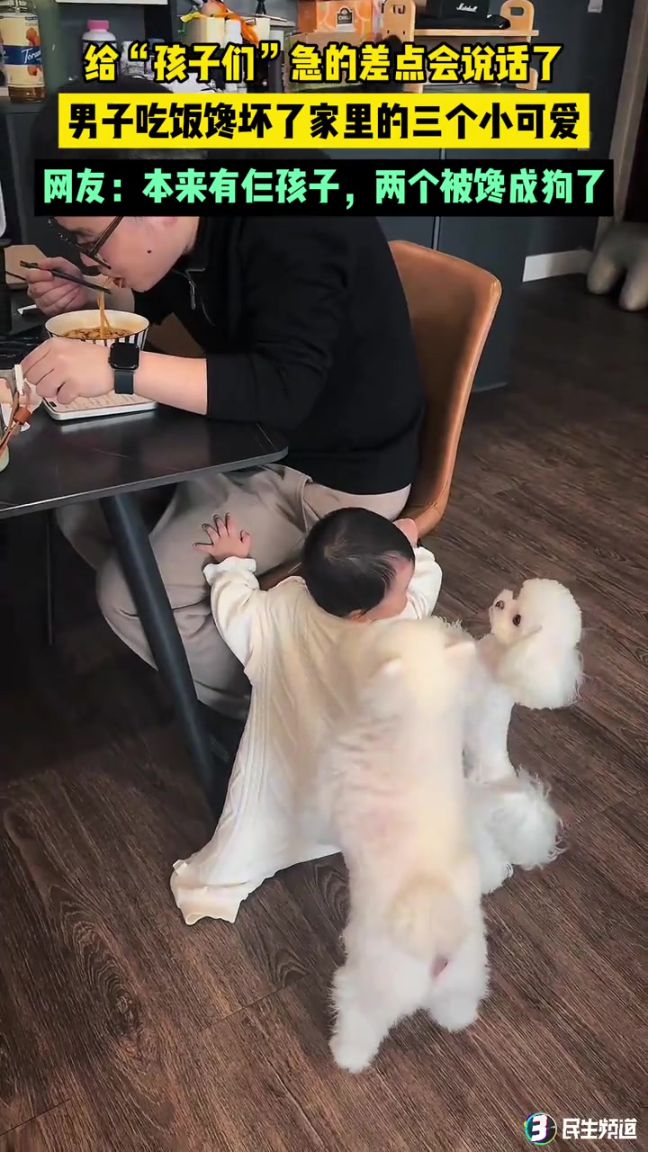 给“孩子们”急的差点会说话了，男子吃饭馋坏了家里的三个小可爱