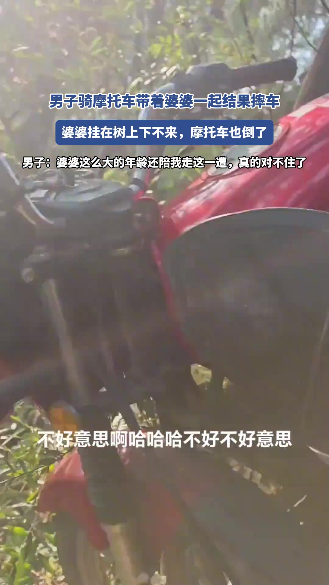 婆婆也没想到有一天坐个摩托还能上树