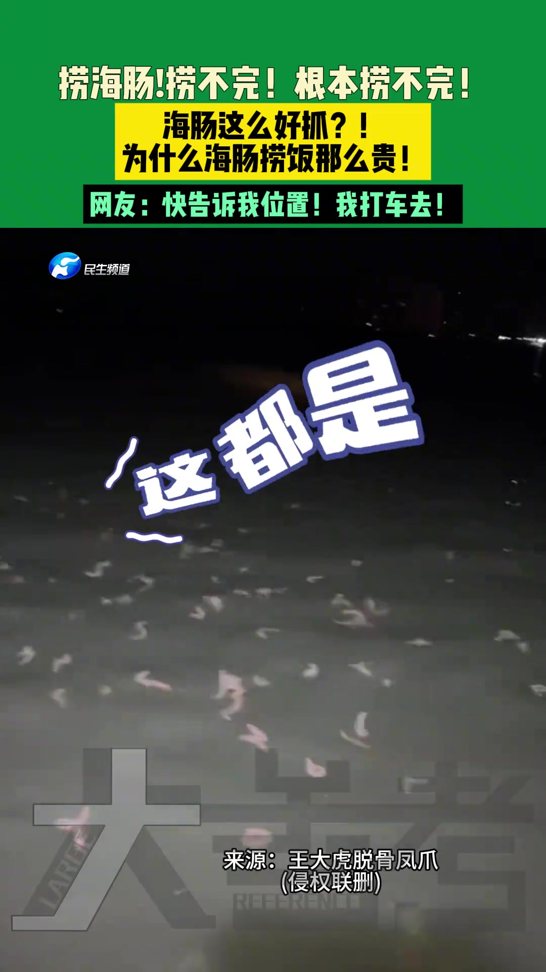 捞海肠捞不完根本捞不完