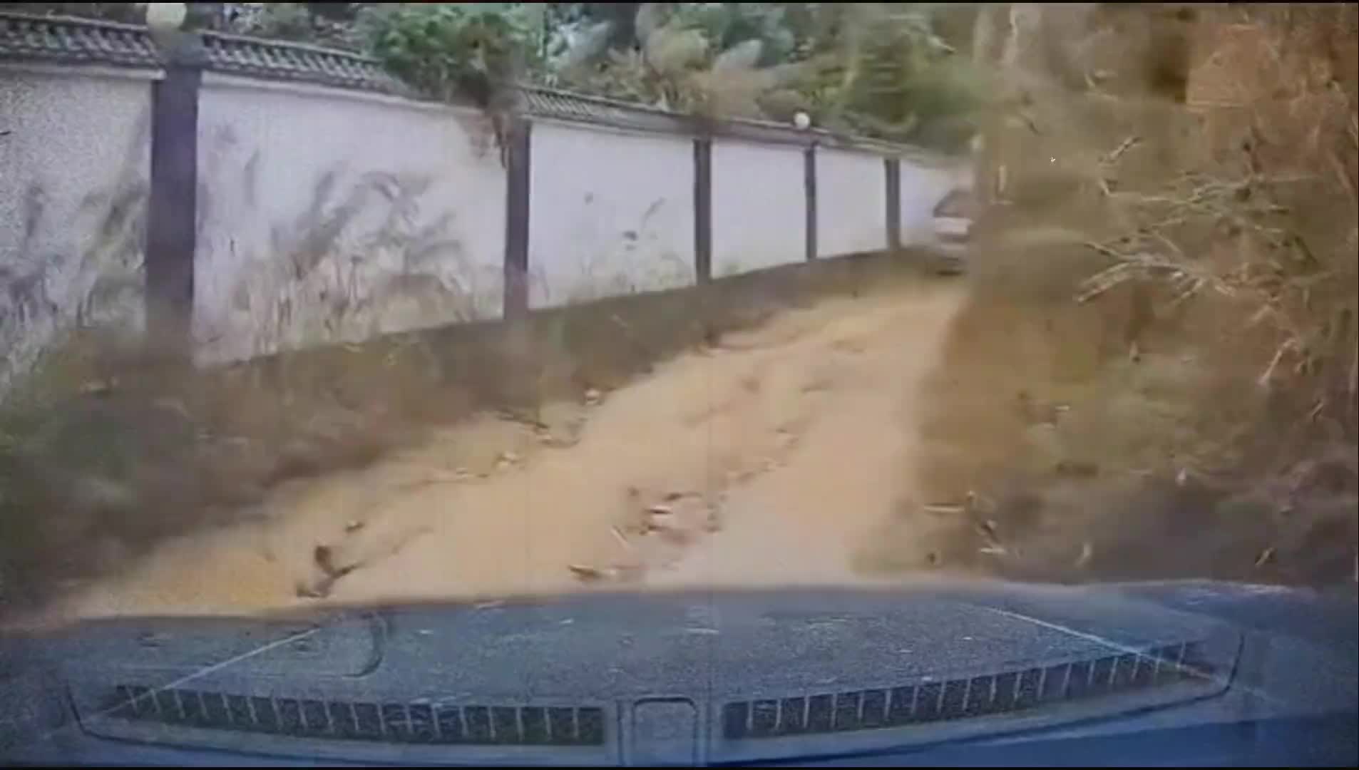 大哥最后一脸无奈的表情