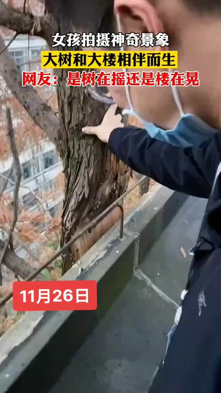 我怎么感觉是楼在晃啊！