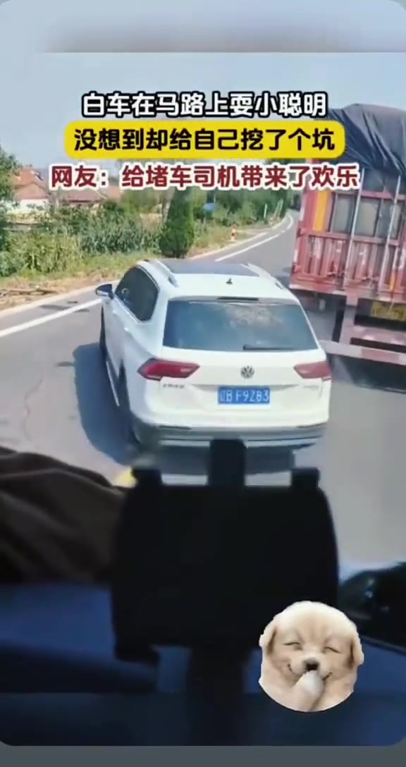大聪明马路上耍小聪明，结果给自己挖了个坑！