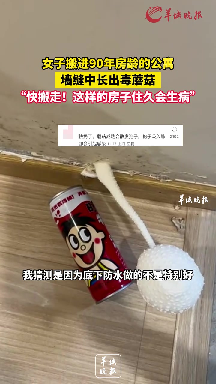 女子搬进90年房龄的公寓，墙缝中长出毒蘑菇，“快搬走！
