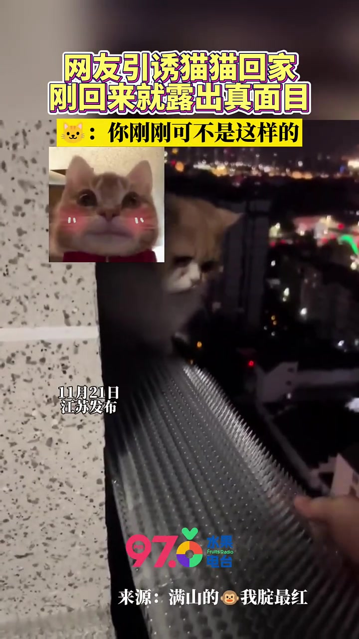 你看，回来了你又不高兴