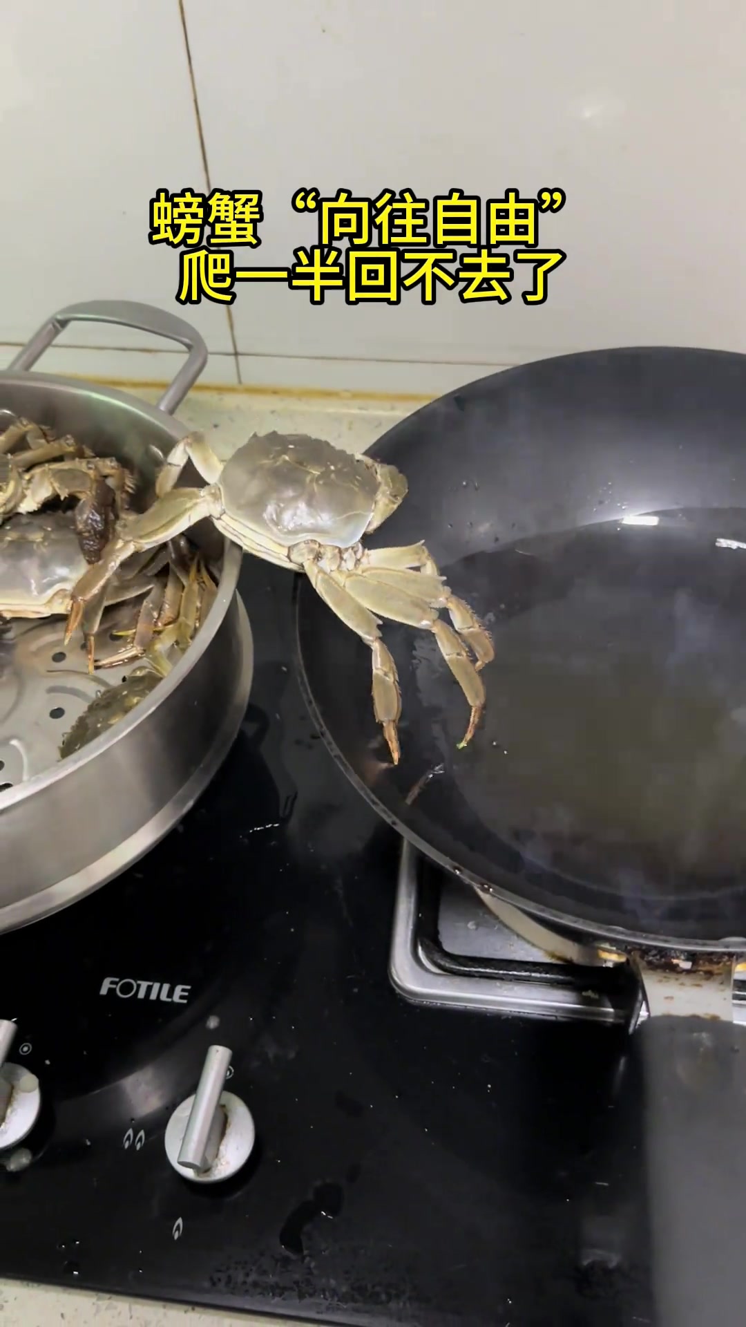 向往自由！但爬一半回不去了
