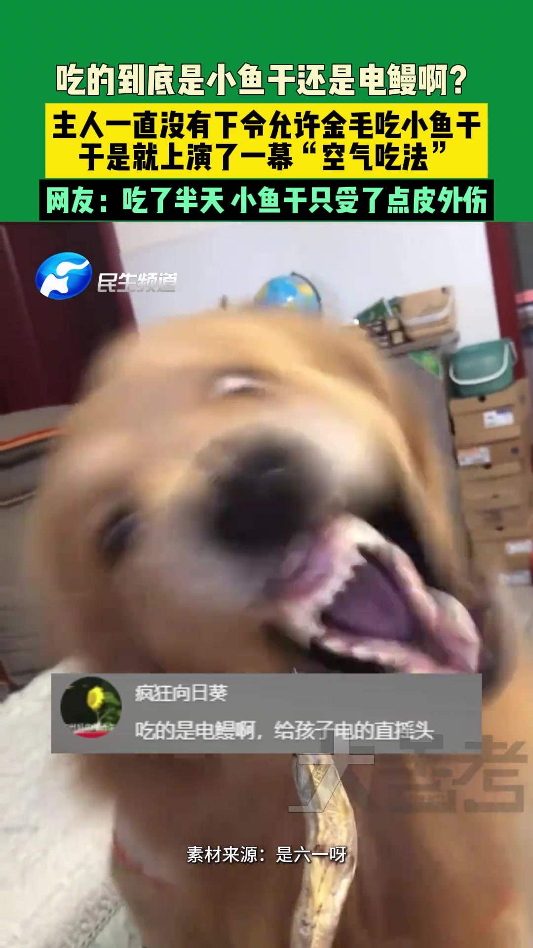 啊这难道吃得是电鳗