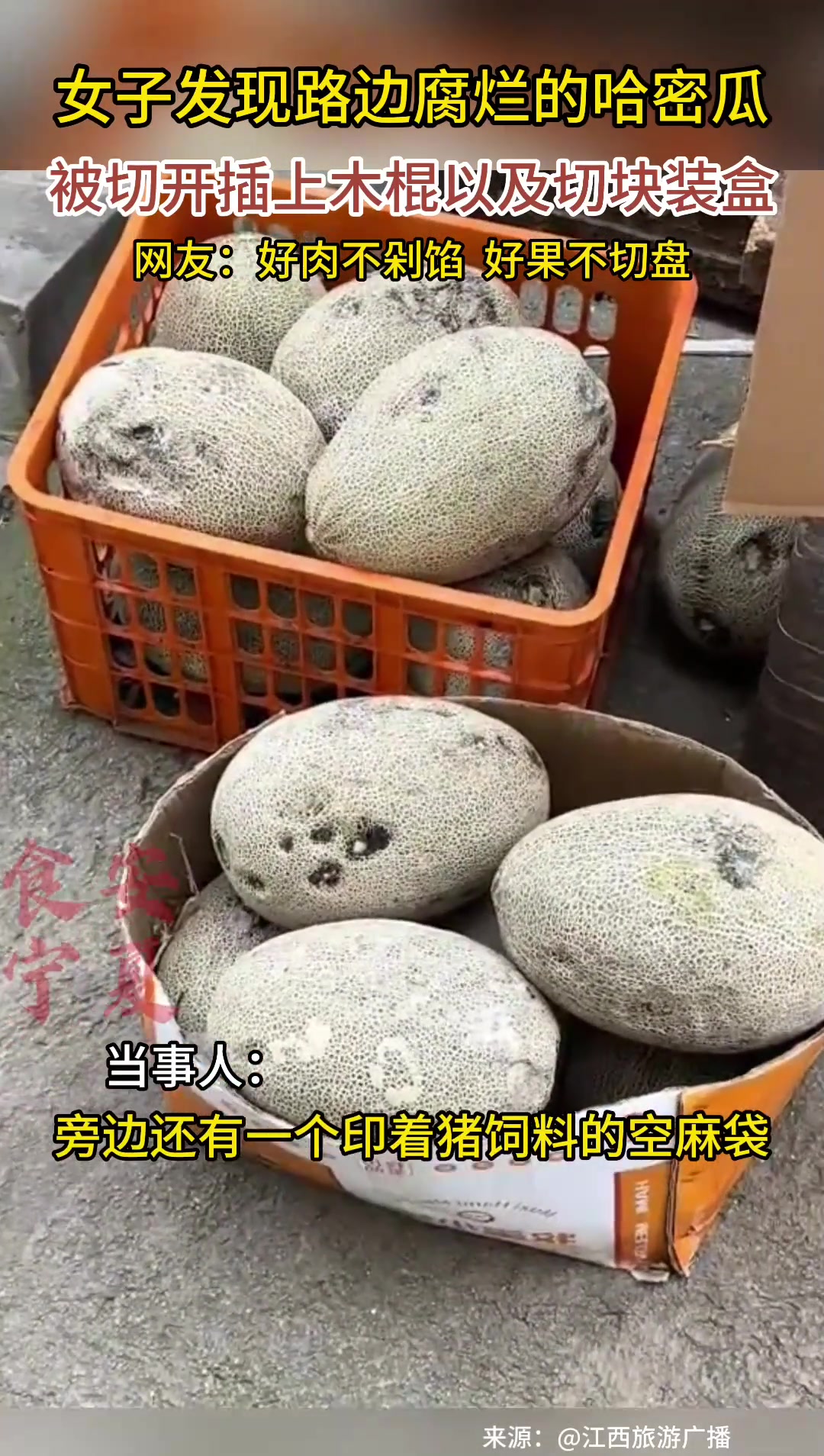 女子发现路边腐烂的哈密瓜，被切开插上木棍以及切块装盒