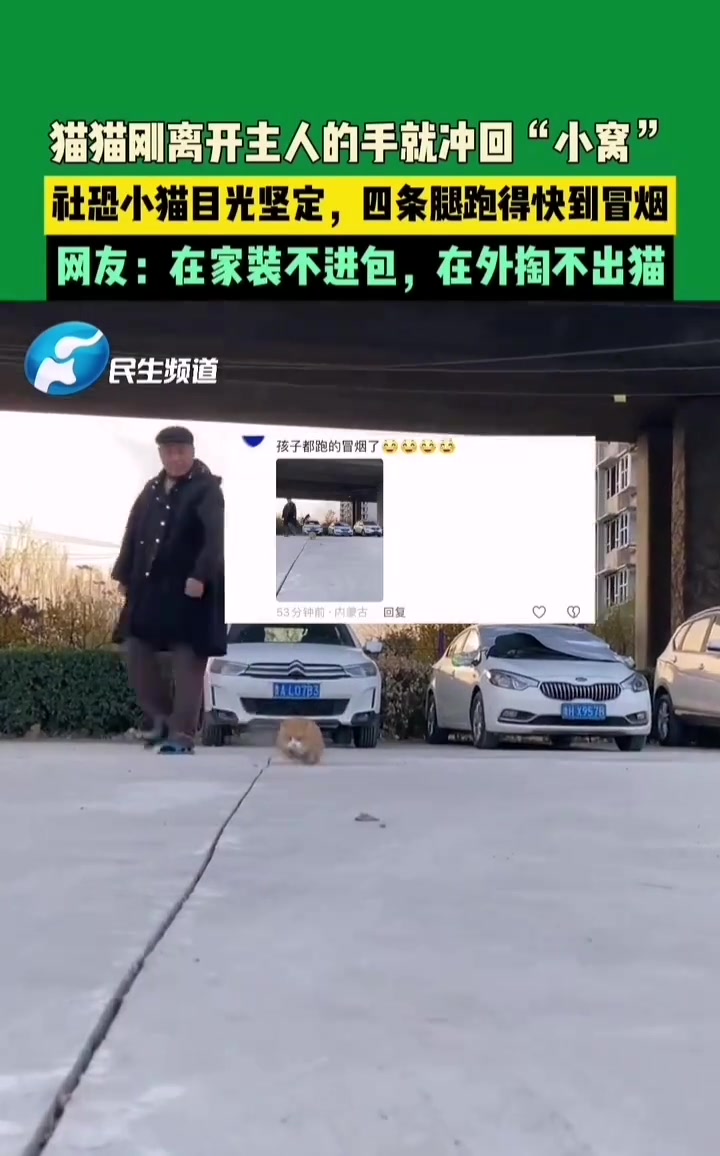 《猫和老鼠》果然是纪录片