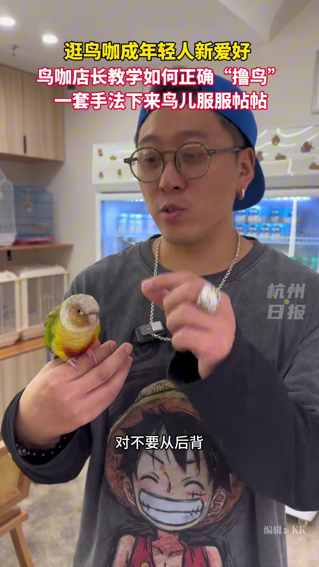 店长沉浸式教学撸鸟方法鸟儿甚至可以在手上躺倒