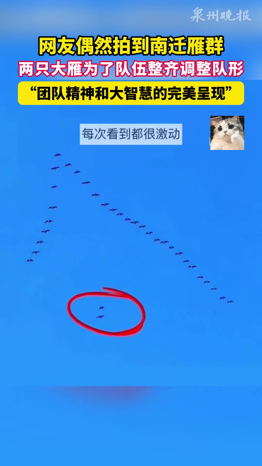 大雁都知道按顺序调整队形
