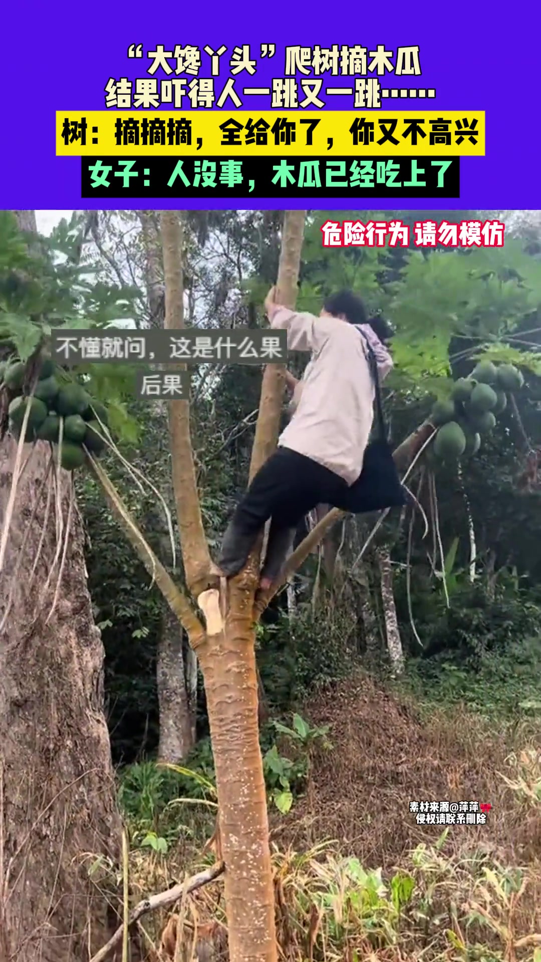 树：摘摘摘，全给你了，你又不高兴