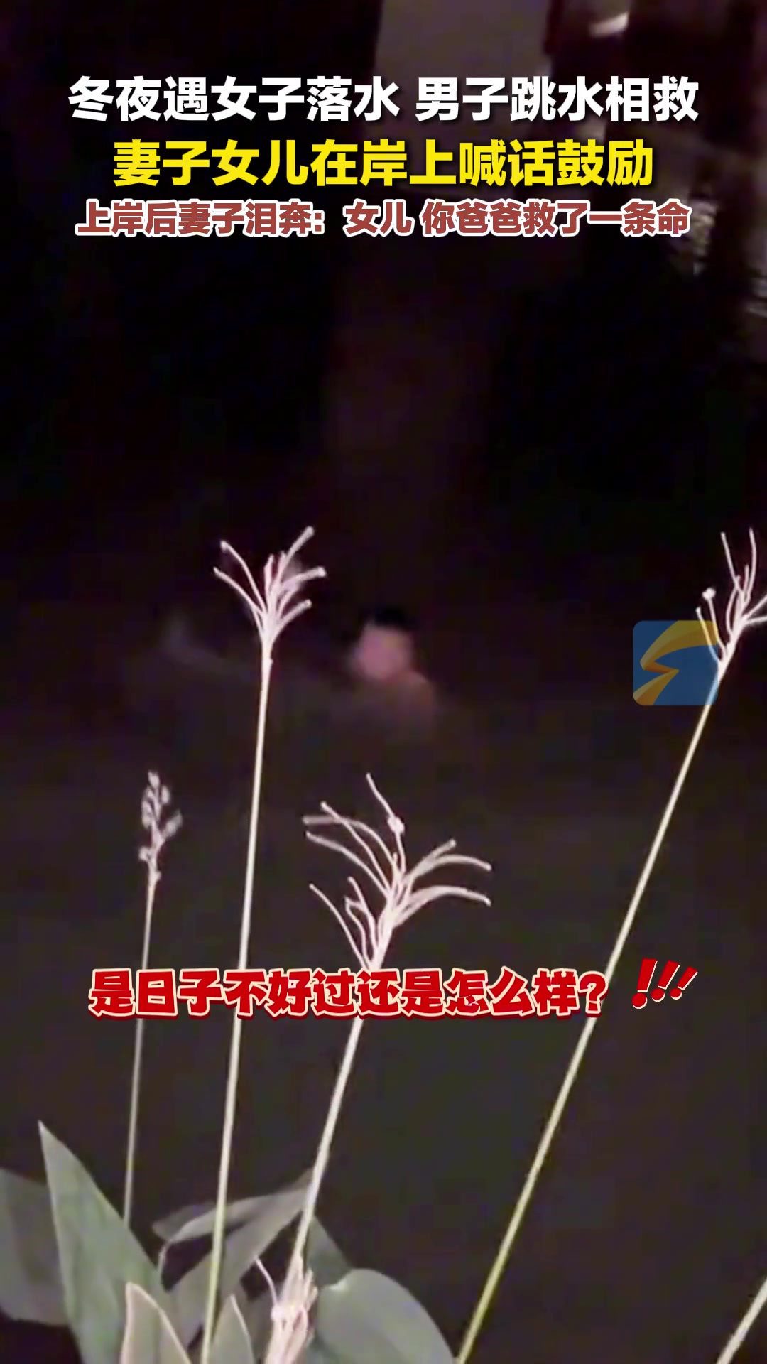 男子冬夜跳水营救落水女子，妻子、女儿在岸上喊话鼓励！