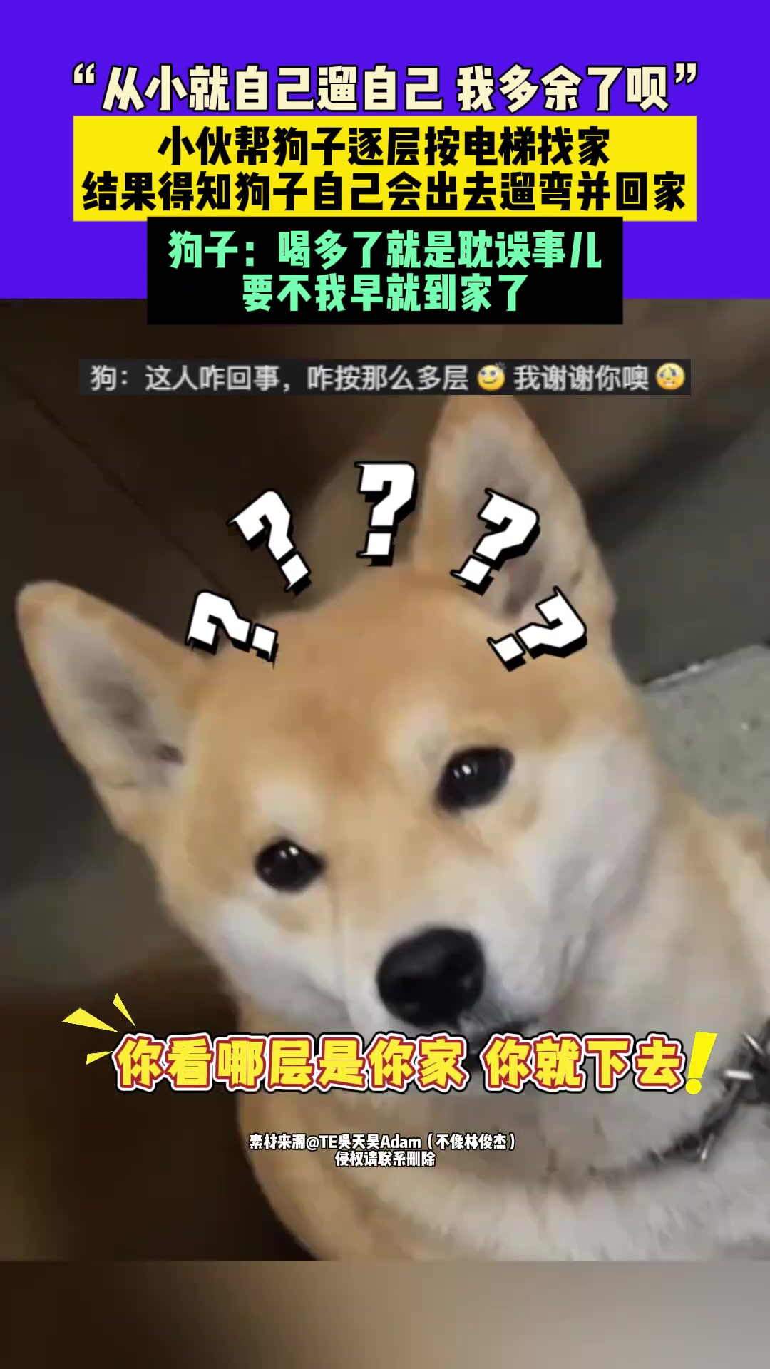 狗子：喝多了就是耽误事儿要不我早就到家了