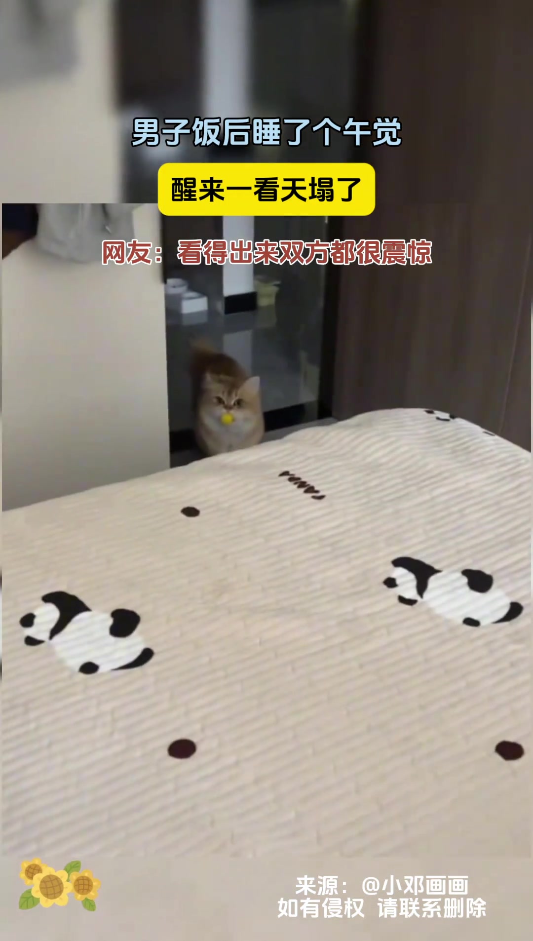 啊男子饭后睡了个午觉醒来一看天塌了