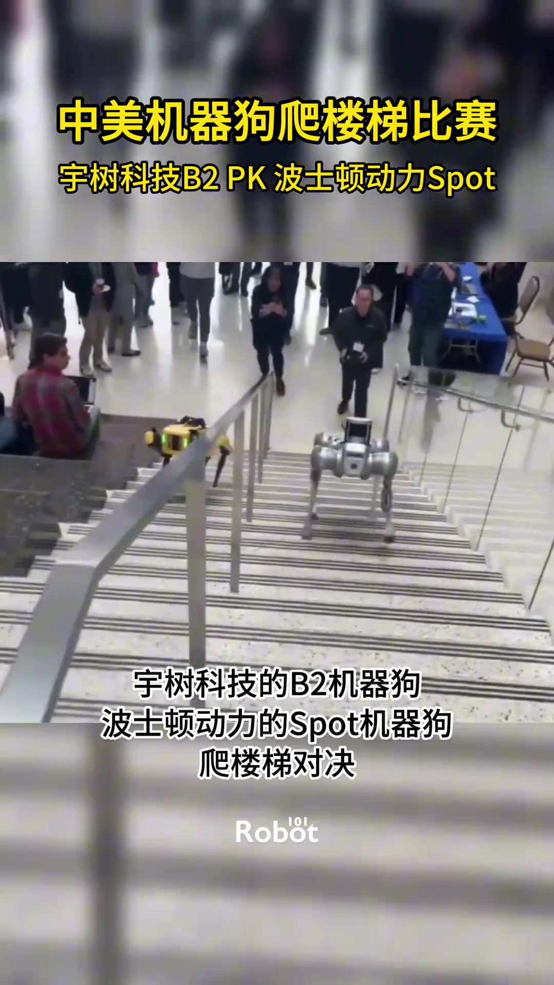中美机器狗爬楼梯比赛