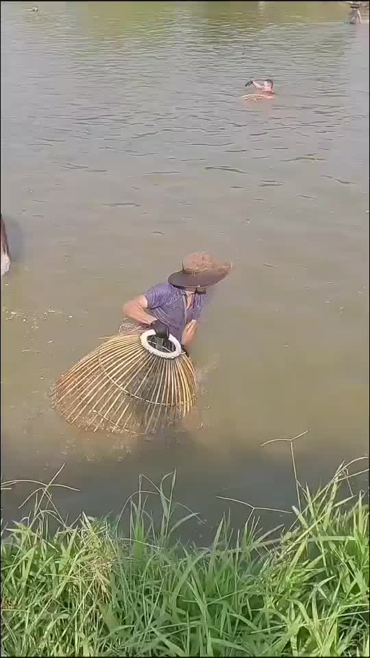 浑水抓鱼捞鱼也是技术活啊！