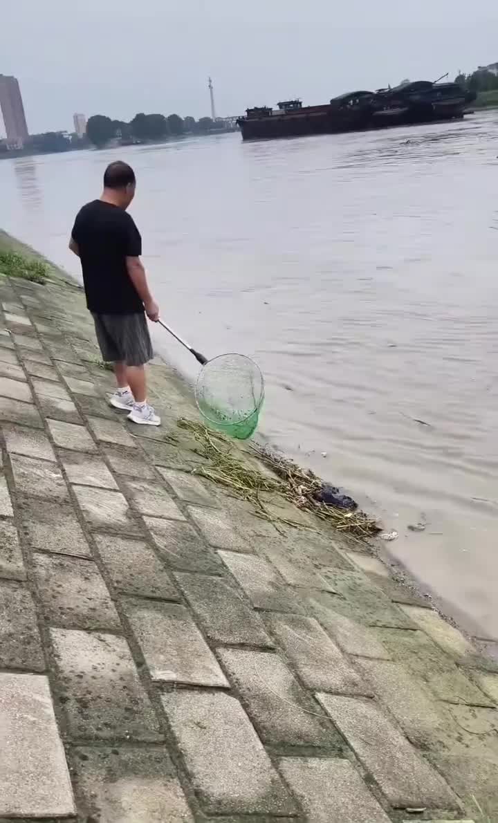 原谅我嘿嘿嘿的笑了！