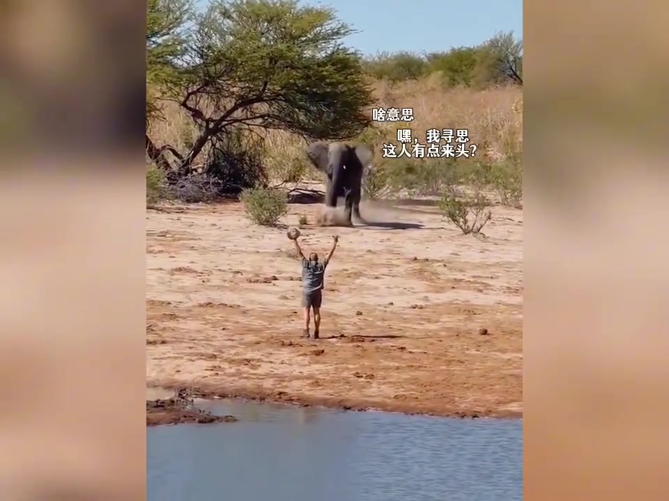 大象被男人的一个手势吓得落荒而逃，怎么做到的