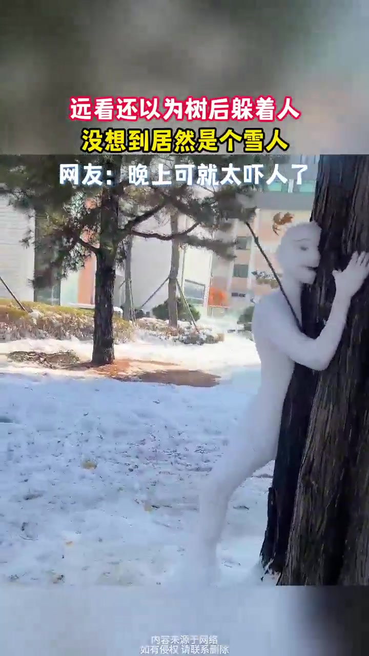 远看还以为树后躲着人，没想到居然是个雪人