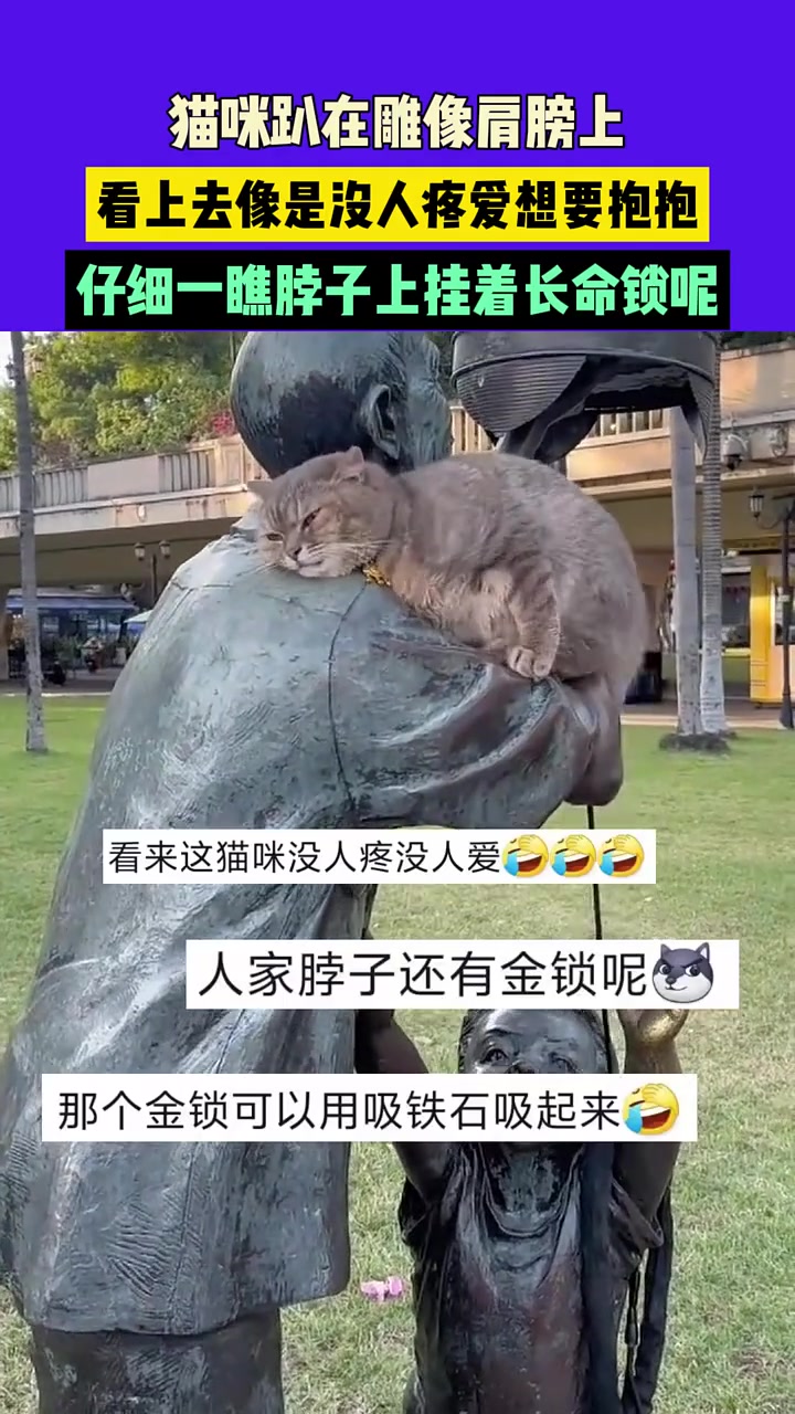 猫咪趴在雕像肩膀上看上去像是没人疼爱想要抱抱