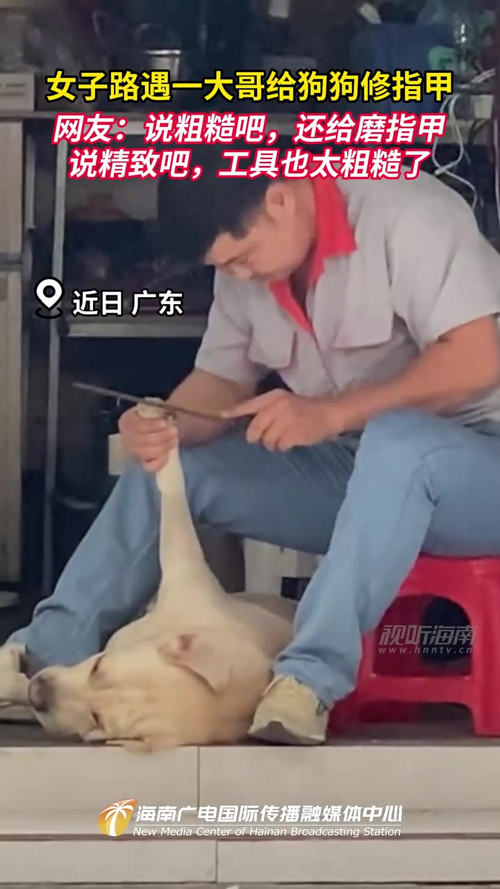 女子路遇一大哥给狗狗修指甲