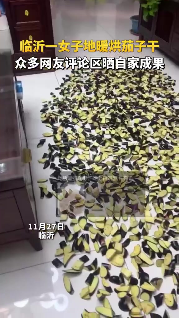 临沂一女子地暖烘茄子干，众多网友评论区晒自家成果