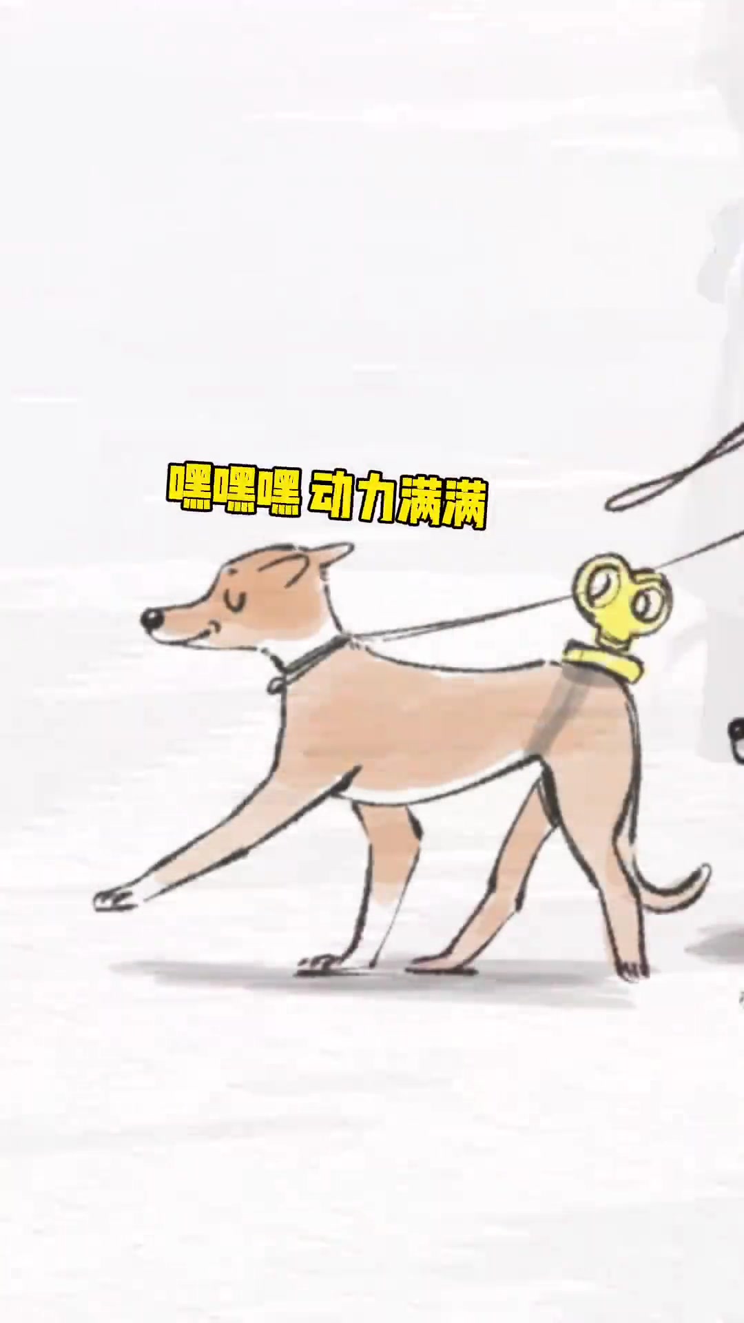 惊呆了！原来也可以这样遛狗狗