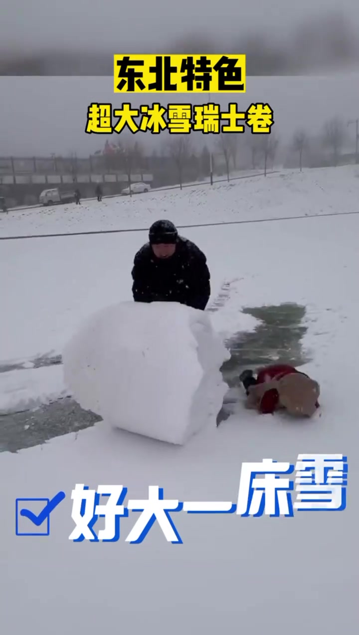 东北特色超大冰雪瑞士卷