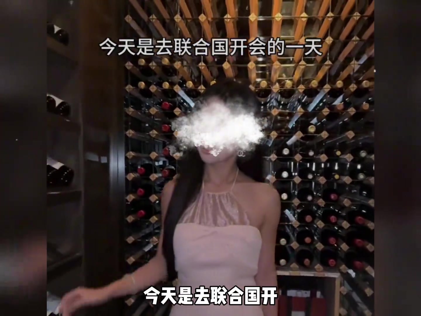 本以为联合国是研究国际大事的地方，没想到成为网红演讲的新赛道