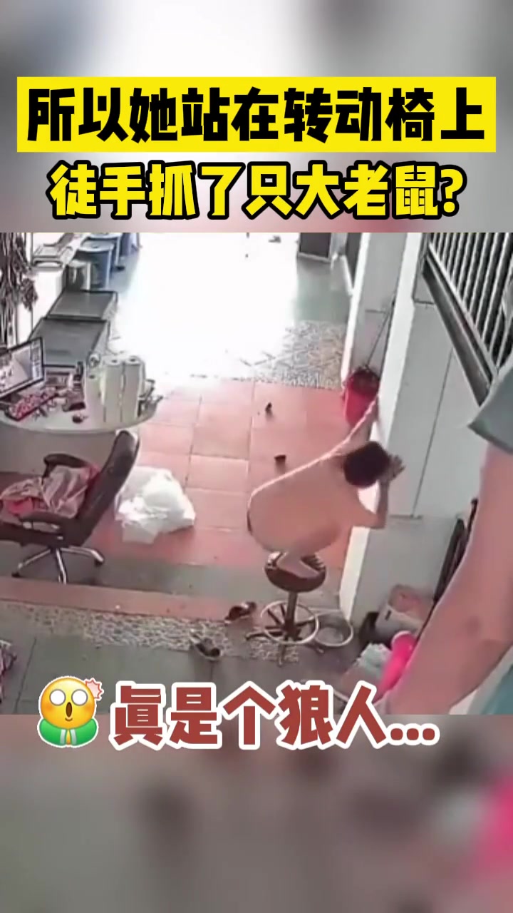 所以她站在一个转动的椅子上自己徒手抓了只大老鼠