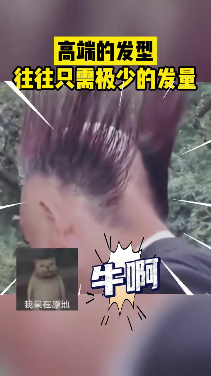 高端的发型往往只需要极少的发量