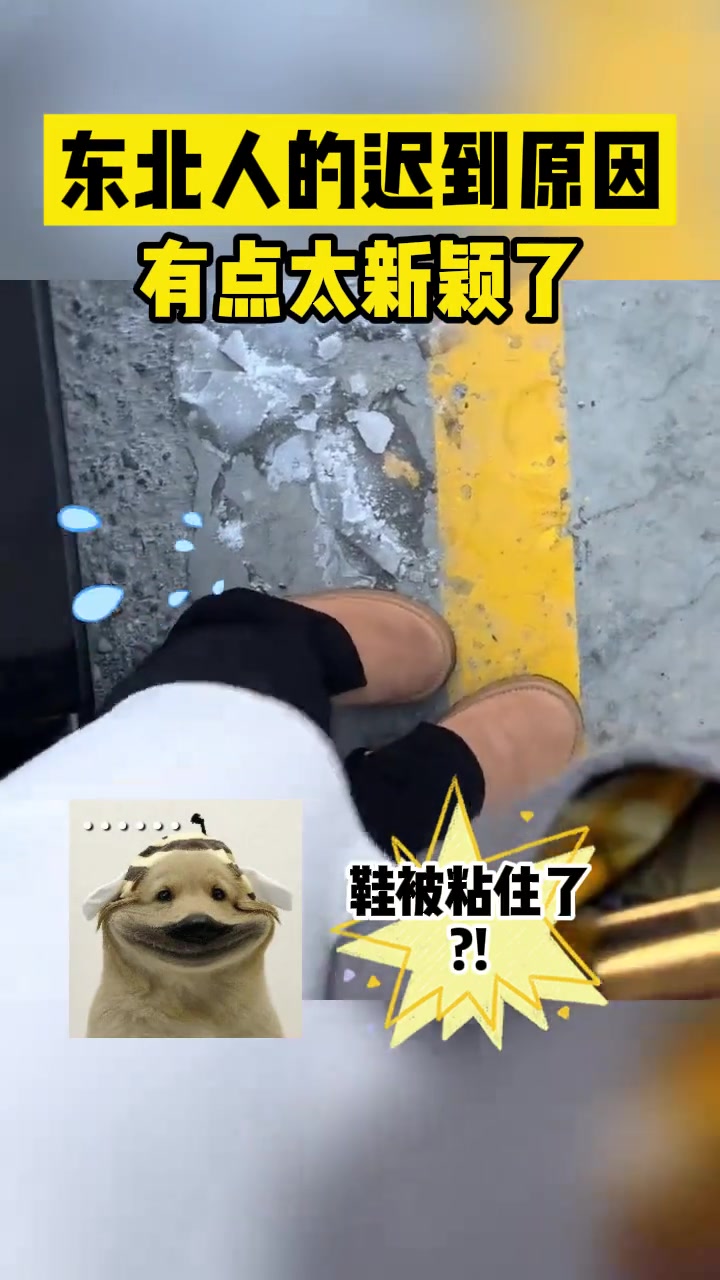 东北人迟到的原因有点新颖啊