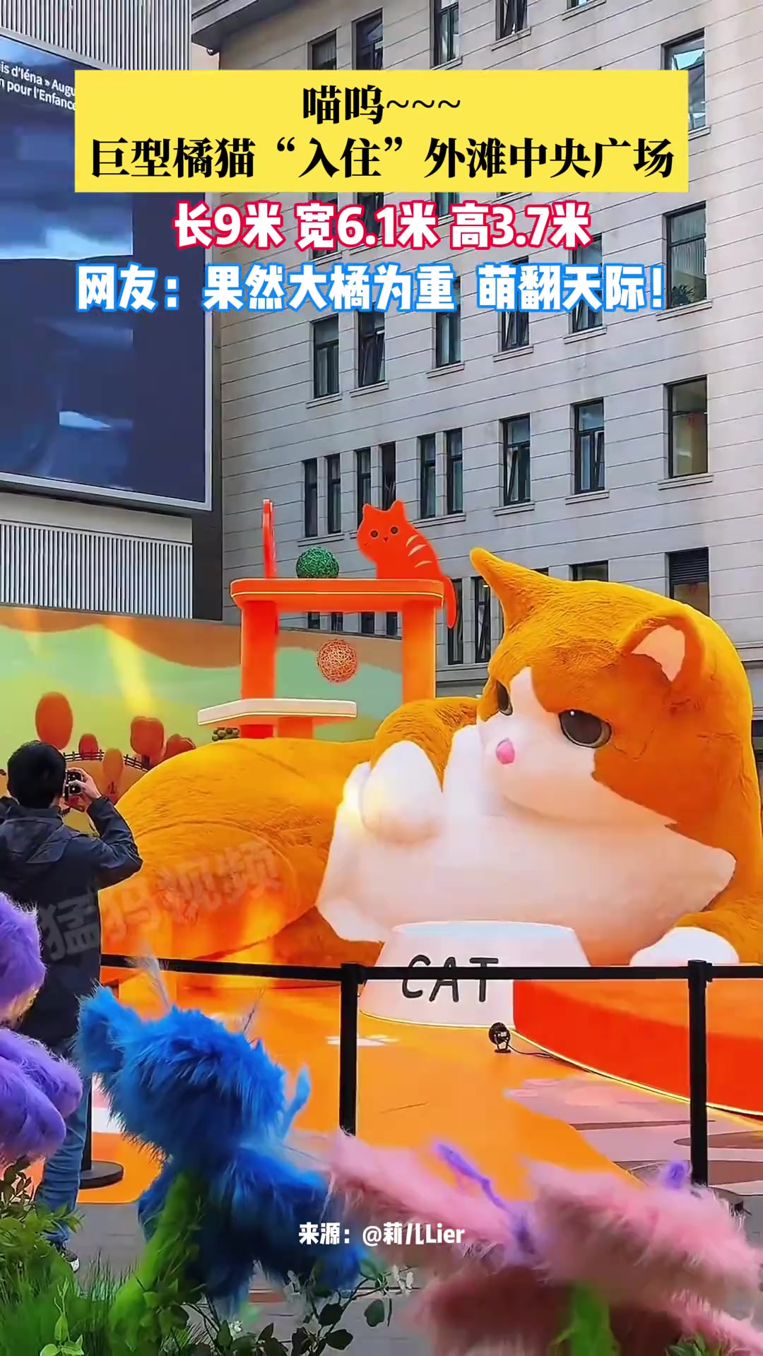 巨型橘猫“入住”外滩中央广场，网友：果然大橘为重又肥又治愈