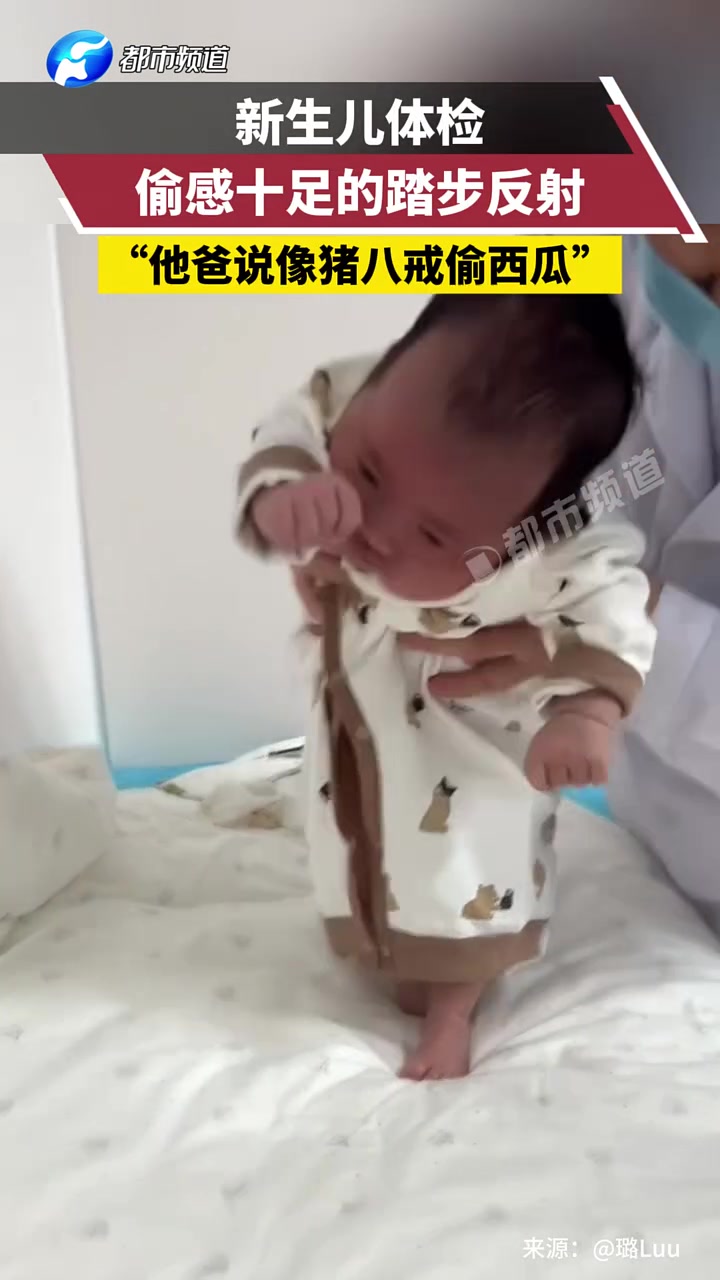 新生儿体检，偷感十足的踏步反射，“他爸说像猪八戒偷西瓜