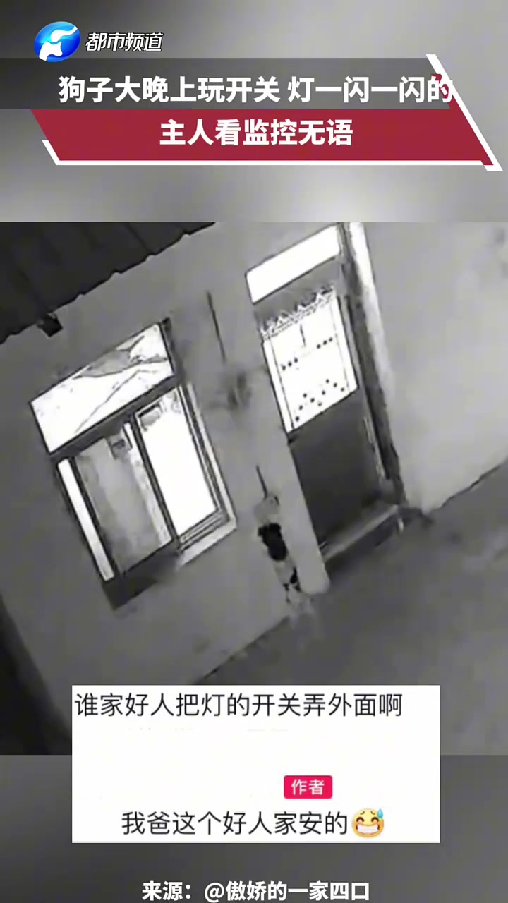 狗子大晚上玩开关，灯一闪一闪的，主人看监控无语
