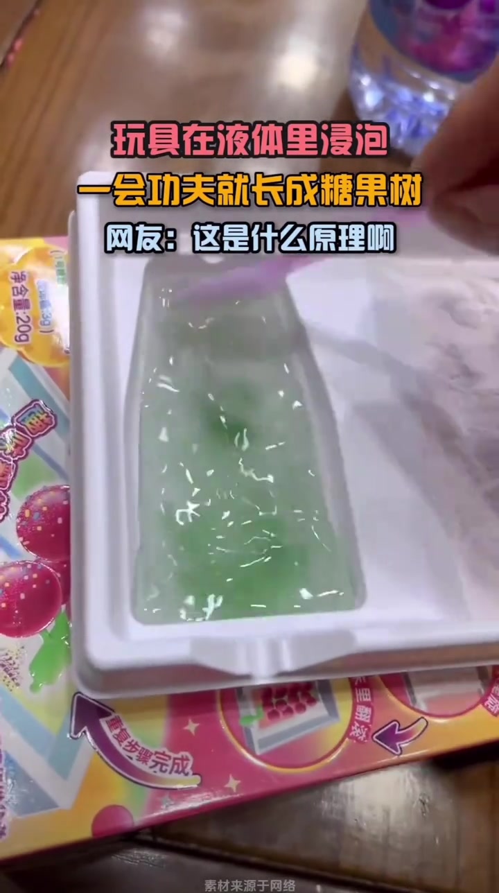 玩具在液体里浸泡，一会功夫就长成糖果树