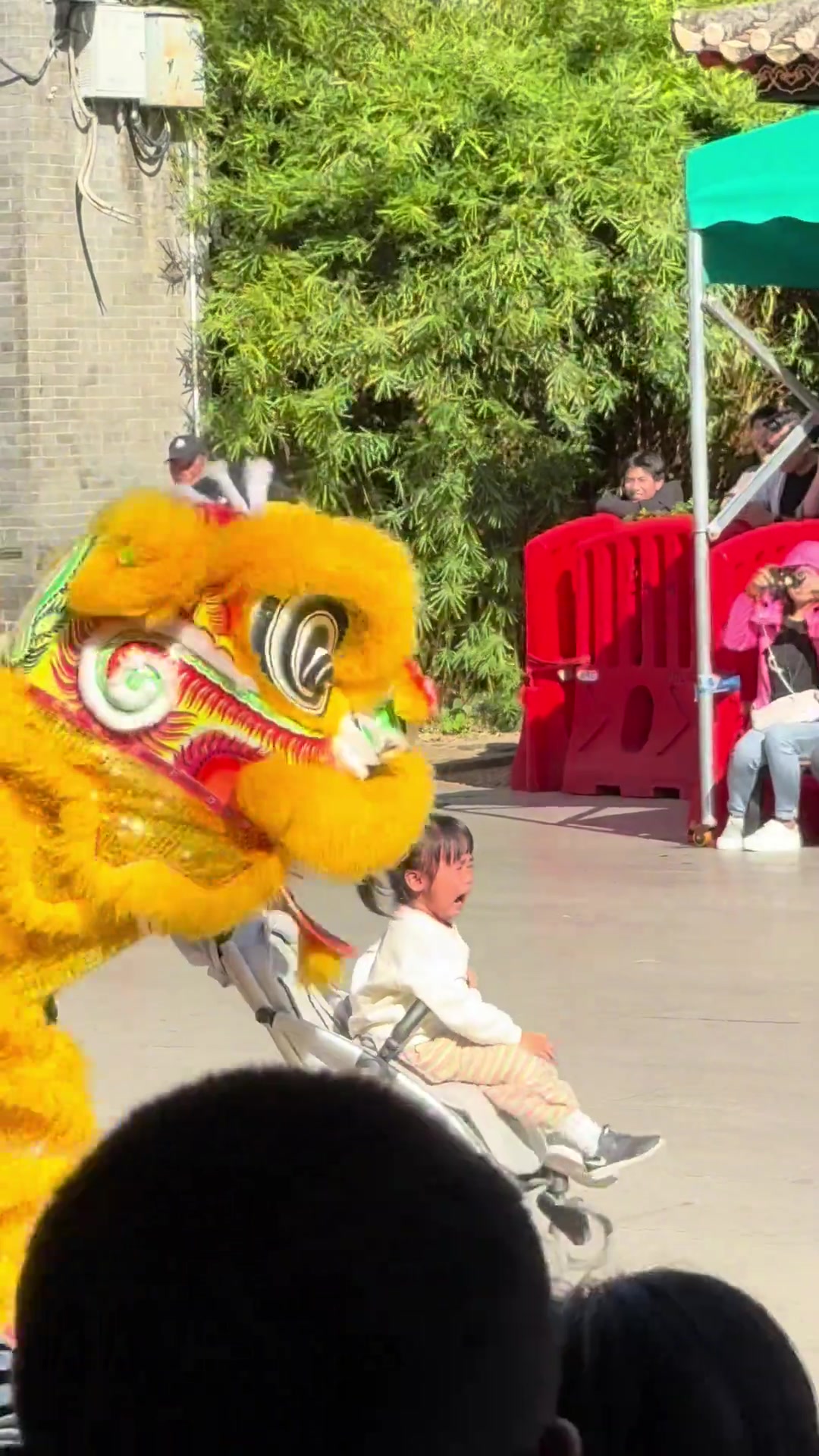 小孩做错了什么只是来看个舞狮，怎么就加入了