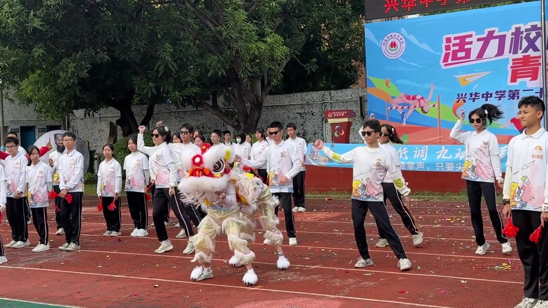这是我见过最干巴的狮子
