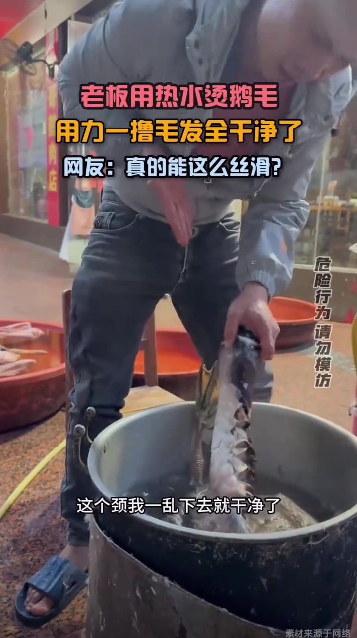 老板用热水烫鹅毛，用力一撸毛发全干净了