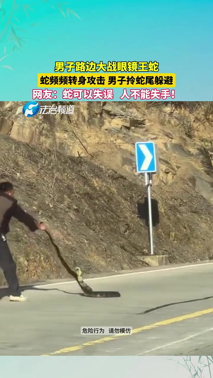 男子在路边与眼镜王蛇大战，蛇频频转身攻击男子拎蛇尾躲避！